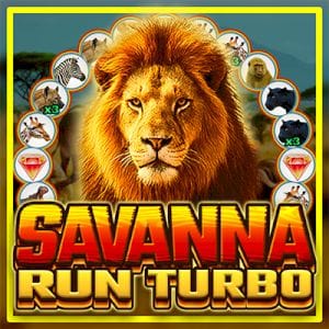 Savanna Run Spinner